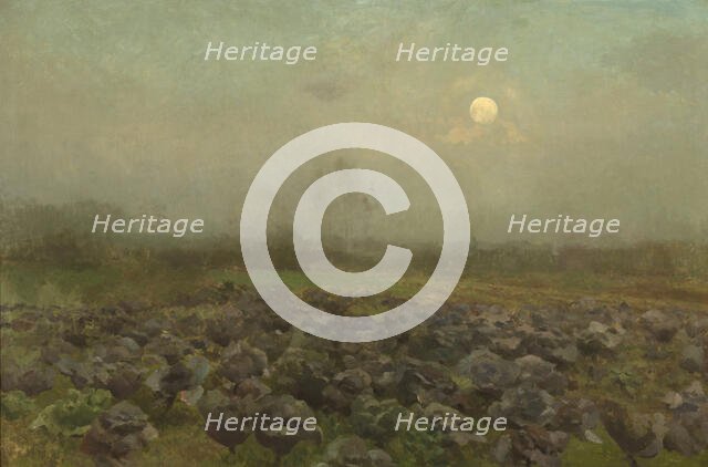 Cabbage Field by Moonlight, c1870-1890. Creator: Florent Crabeels.