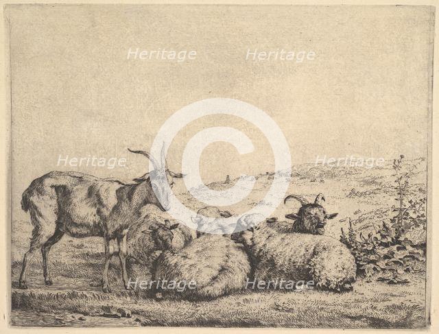 Two Goats and Three Sheep, 1655. Creator: Karel Du Jardin.