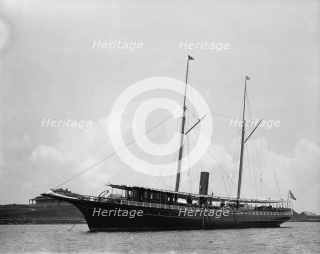 Narwhal, 1895 Aug 4. Creator: John S Johnston.
