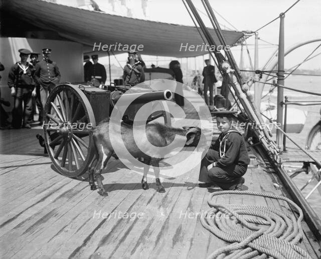 U.S.S. New York, Admiral Sampson's son and "Pitch" the mascot, (1899?). Creator: Unknown.