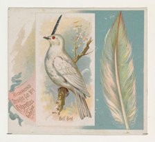 Bell Bird, from the Song Birds of the World series (N42) for Allen & Ginter Cigarettes, 1890. Creator: Allen & Ginter.