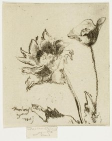 Two Flowers, 1890-95. Creator: Theodore Roussel.