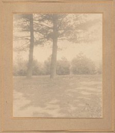 Landscape with trees, c. 1900. Creator: Joseph Turner Keiley.