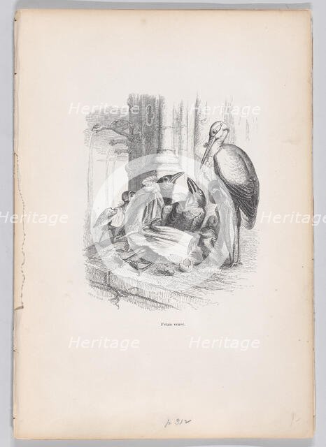 I was a widow from Scenes from the Private and Public Life of Animals, ca. 1837-47. Creator: Louis-Henri Brevière.