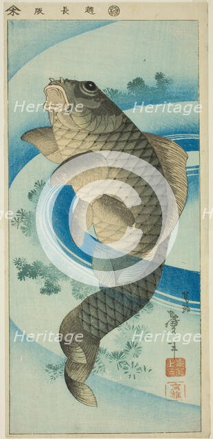 Carp, Japan, c. 1830/44. Creator: Katsushika Taito.