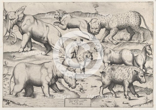Speculum Romanae Magnificentiae: Wild Animals, from antique wall paintings, plate 2, 1547., 1547. Creator: Anon.