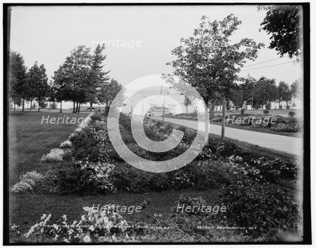 Flower borders at the Frontenac, Round Island, N.Y., between 1890 and 1901. Creator: Unknown.