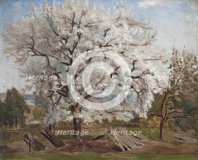 Apple Tree in Blossom, 1877. Creator: Carl Fredrik Hill.