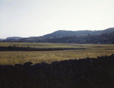 Farmland along the upper Delaware River in New York state., 1943. Creator: John Collier.