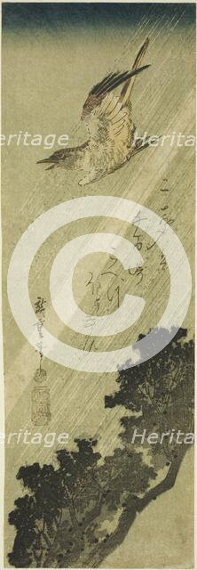 Cuckoo flying in rain, early 1830s. Creator: Ando Hiroshige.