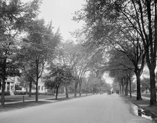 Delaware Avenue, Buffalo, N.Y., c.between 1910 and 1920. Creator: Unknown.