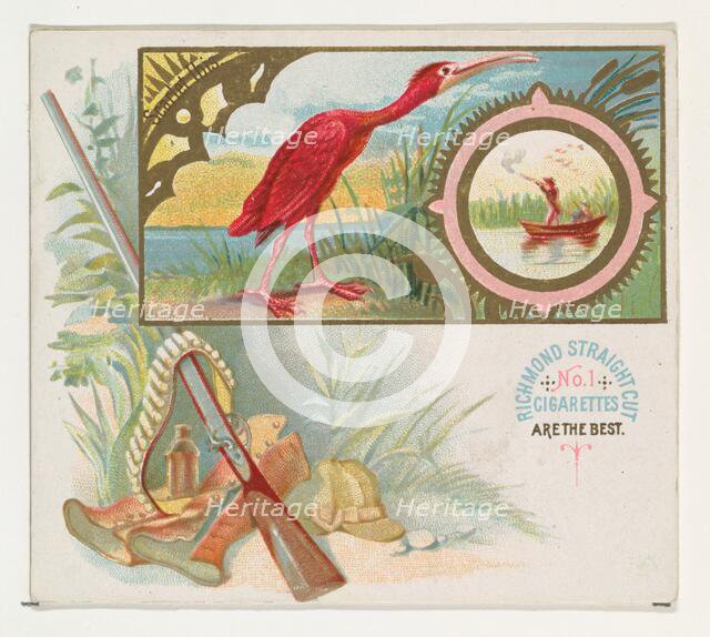 Scarlet Ibis, from the Game Birds series (N40) for Allen & Ginter Cigarettes, 1888-90. Creator: Allen & Ginter.