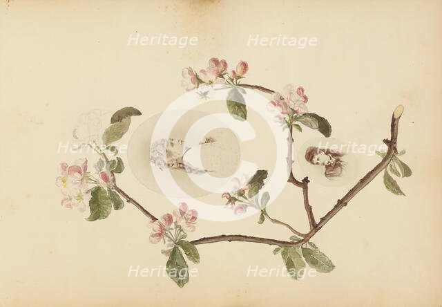 The Madame B Album, 1870s. Creator: Marie Blanche Hennelle Fournier.