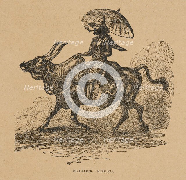 Bullock Riding from "Hagenbeck's World Renowned Ceylonese Exhibition", 1886. Creator: Unknown.
