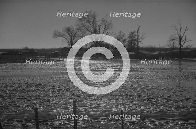 The Bessie Levee augmented with sand bags, near Tiptonville, Tennessee, 1937. Creator: Walker Evans.