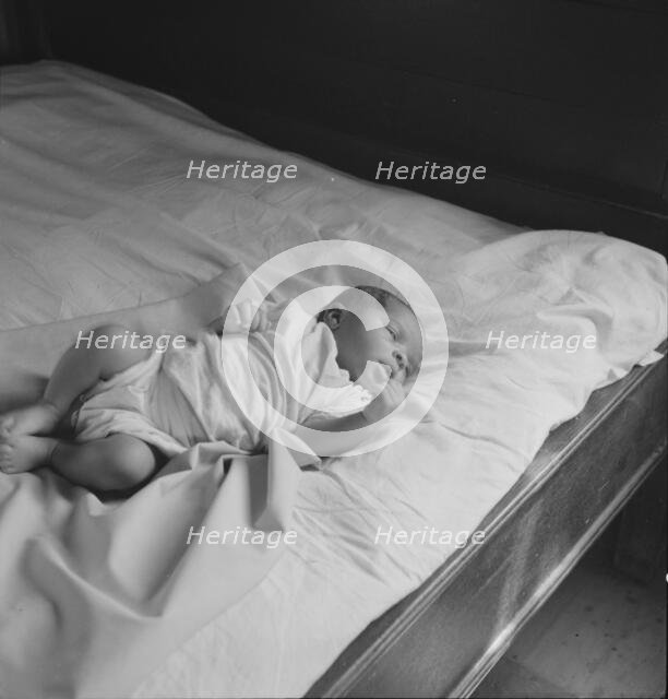 Young baby born on the Delta cooperative farm, Hillhouse, Mississippi, 1937. Creator: Dorothea Lange.