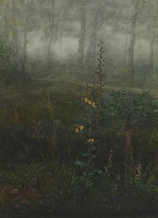 Gray Mullein in the Undergrowth, 1865. Creator: Leon Bonvin.