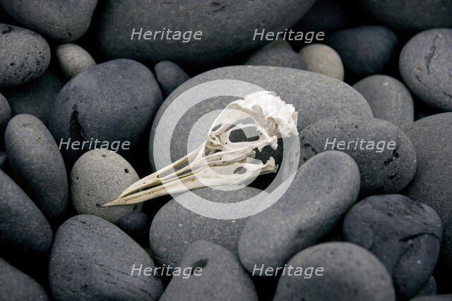 Stones, Iceland A. Creator: Tom Artin.