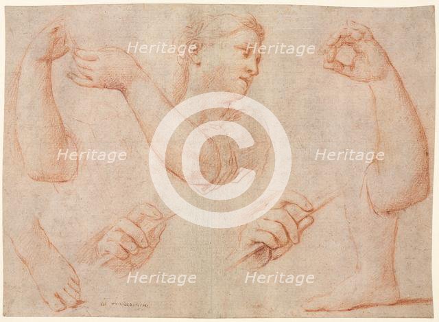 Study of a Young Woman Playing a Tambourine, and Studies of an Arm, Hands, and Feet..., c. 1711. Creator: Marcantonio Franceschini (Italian, 1648-1729).