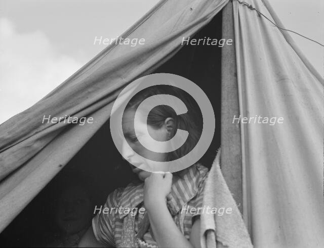 We made good money in the cherries this year, FSA unit, Merrill, Klamath County, Oregon, 1939. Creator: Dorothea Lange.