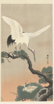 Japanese cranes on branch of pine tree. Creator: Ohara, Koson (1877-1945).