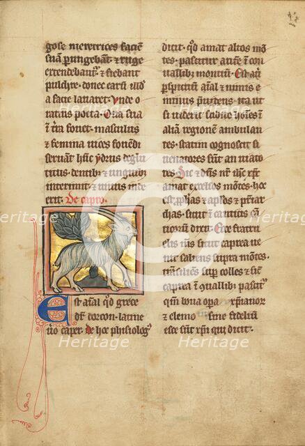 A Goat; De Natura Avium; De Pastoribus et Ovibus; Bestiarium, 1277 or after. Creator: Unknown.