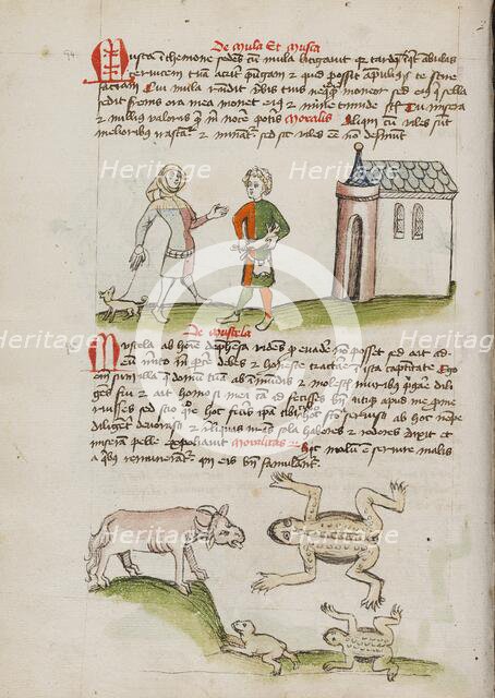 A Man with a Weasel on a Leash: An Ox, Frogs, and Toads; Fables, third quarter of 15th century. Creator: Unknown.