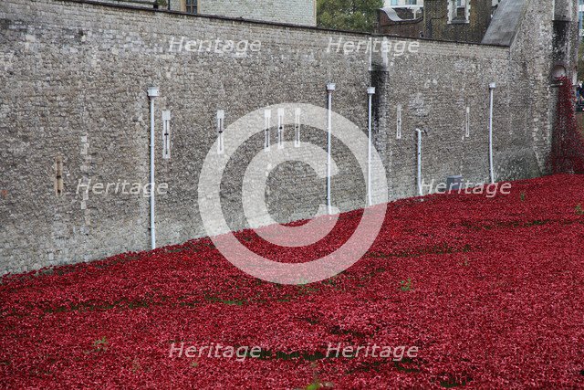 'Blood Swept Lands and Seas of Red', Tower of London, 2014.  Artist: Sheldon Marshall