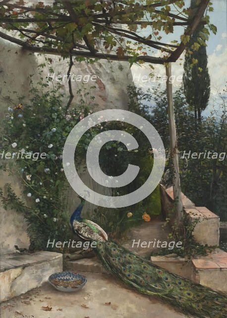 Terrace with Peacock, the Alhambra, 1884. Creator: Hugo Birger.