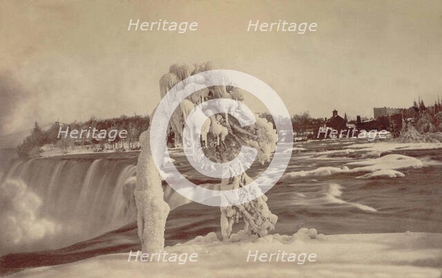 Frosted tree Luna Island. Creator: Unknown.