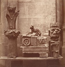 Le Chat Momifié (trouvé dans les fouilles de Saint-Germain-en-Laye), ca. 1862. Creator: Charles Marville.