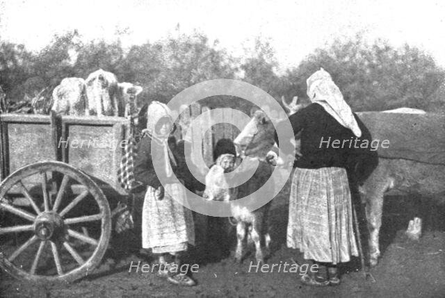 'Le repli et l'exode; Emportant,autant qu'elles le peuvent, leurs biens, poussant...1915 (1924). Creator: R. Marianovitch.