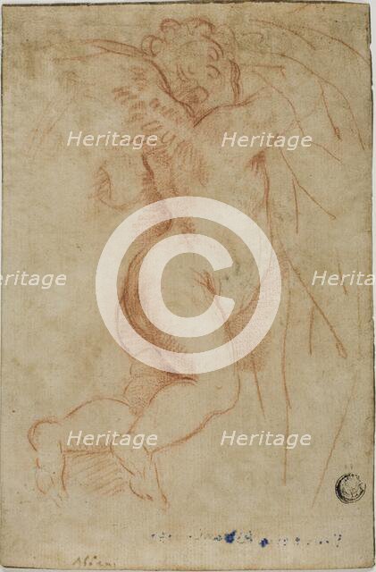 Putto Lifting Curtain (recto); Infant St. John (verso), n.d. Creator: Unknown.