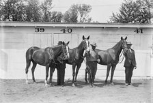 Hazen, Melvin C., Horse Show; His Horses, 1914. Creator: Harris & Ewing.