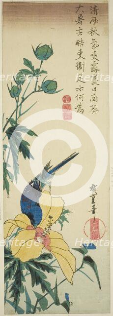 Blue bird and hibiscus, 1830s. Creator: Ando Hiroshige.