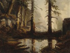 A Forest Pond, after H. A. Cappelen, 1871. Creator: Fanny Churberg.