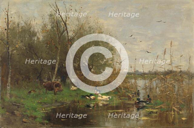Ducks beside a duck shelter on a ditch, 1884. Creator: George Poggenbeek.