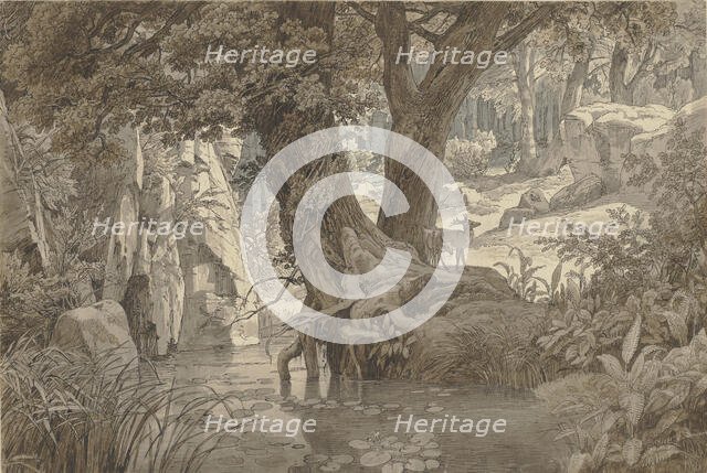 Forest landscape, 1832. Creator: Johann Wilhelm Schirmer.