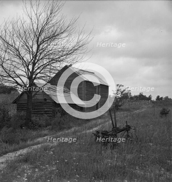 Hillside Farm road leading from sharecropper's house..., Person County, North Carolina, 1939. Creator: Dorothea Lange.