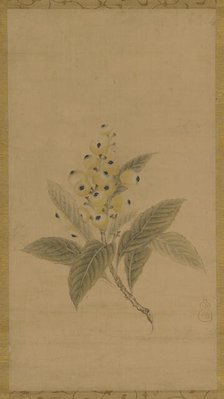 A branch of medlars, Edo period, 17th century. Creator: Kanô Tan'yû.