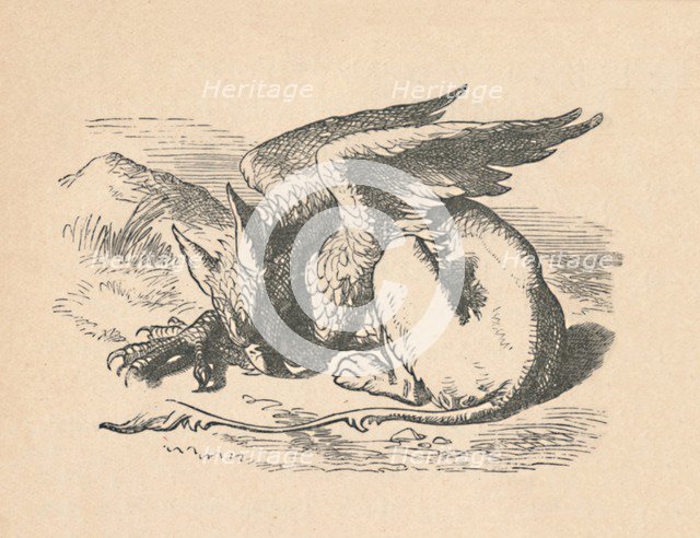 'The Gryphon asleep in the sun', 1889. Artist: John Tenniel.