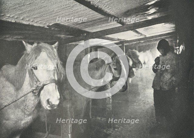 'The Stables in Winter', c1910–1911, (1913). Artist: Herbert Ponting.
