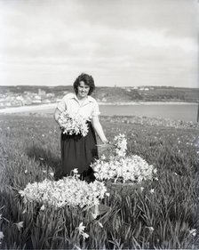 Picking flowers, St Mary's, Scilly Isles, c1955. Creator: Arthur Charles Kirby Ware.