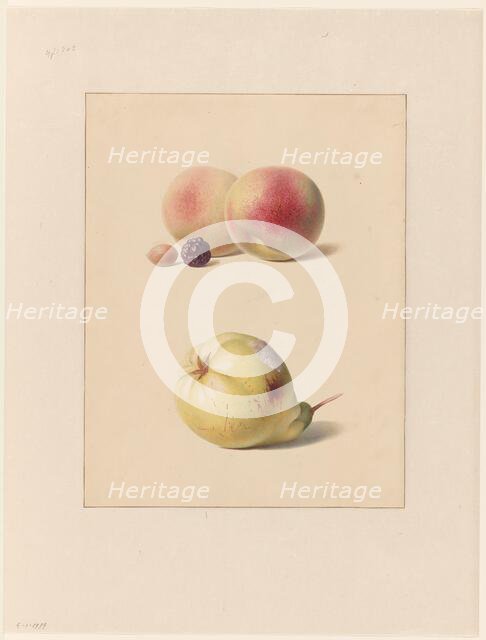 Peach, blackberry and hazelnut and a pear, 1835. Creator: Hendrik Reekers.
