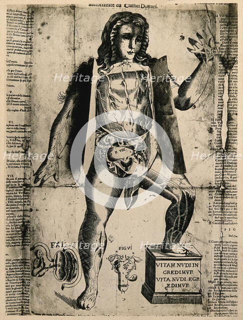 A female flap anatomy fugitive sheet, with layered flaps lifted to reveal the anatomy of the... Creator: Unknown.