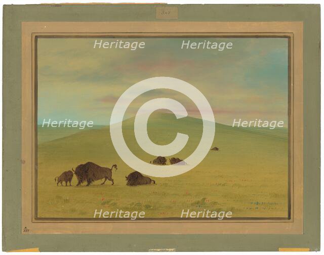 American Pasturage - Prairies of the Platte, 1861/1869. Creator: George Catlin.