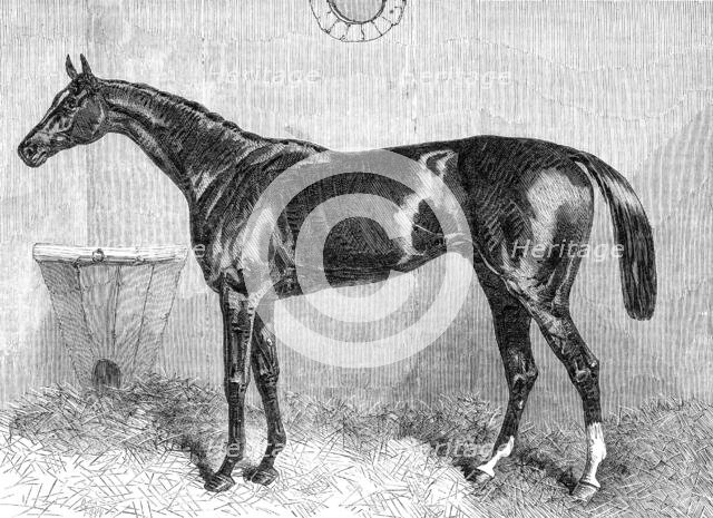 "General Peel", the winner of the Two Thousand Guineas at the Newmarket Spring Meeting, 1864. Creator: Unknown.