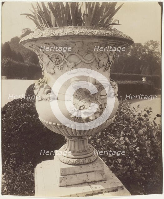 Versailles, Vase, 1905. Creator: Eugene Atget.