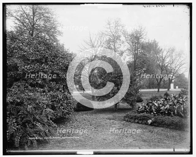 The White House, Washington, c1901. Creator: Unknown.