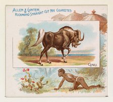 Gnu, from Quadrupeds series (N41) for Allen & Ginter Cigarettes, 1890. Creator: Allen & Ginter.